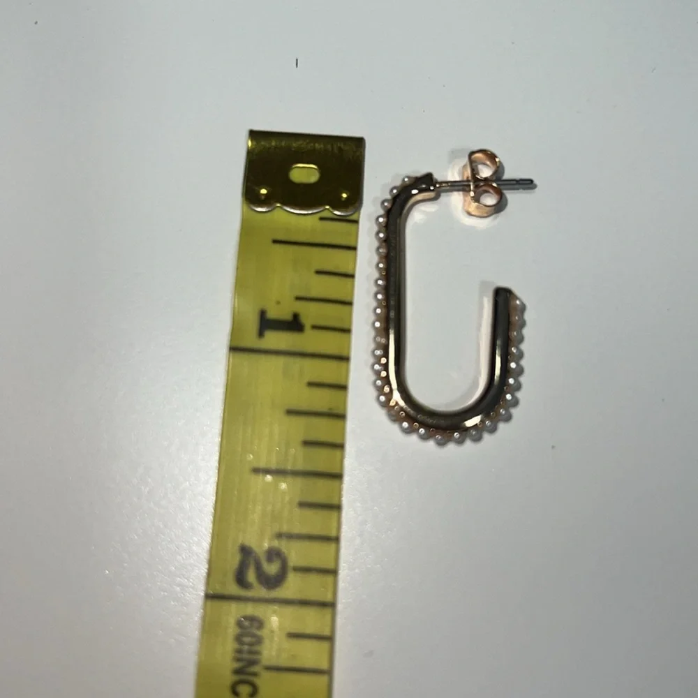 Francesca’s beautiful earrings - Picture 3 of 5